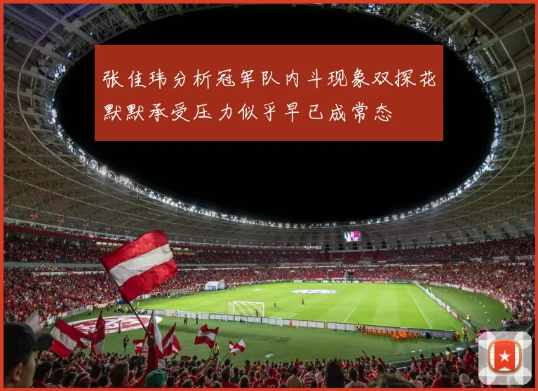 张佳玮分析冠军队内斗现象双探花默默承受压力似乎早已成常态