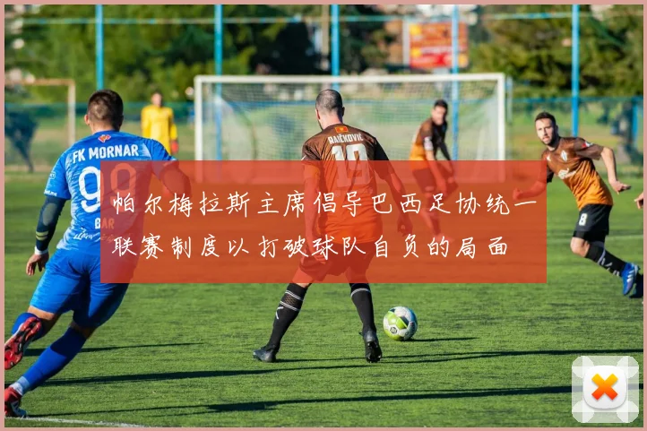 帕尔梅拉斯主席倡导巴西足协统一联赛制度以打破球队自负的局面